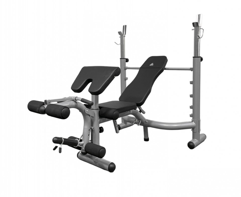 Скамья под штангу DFC D748